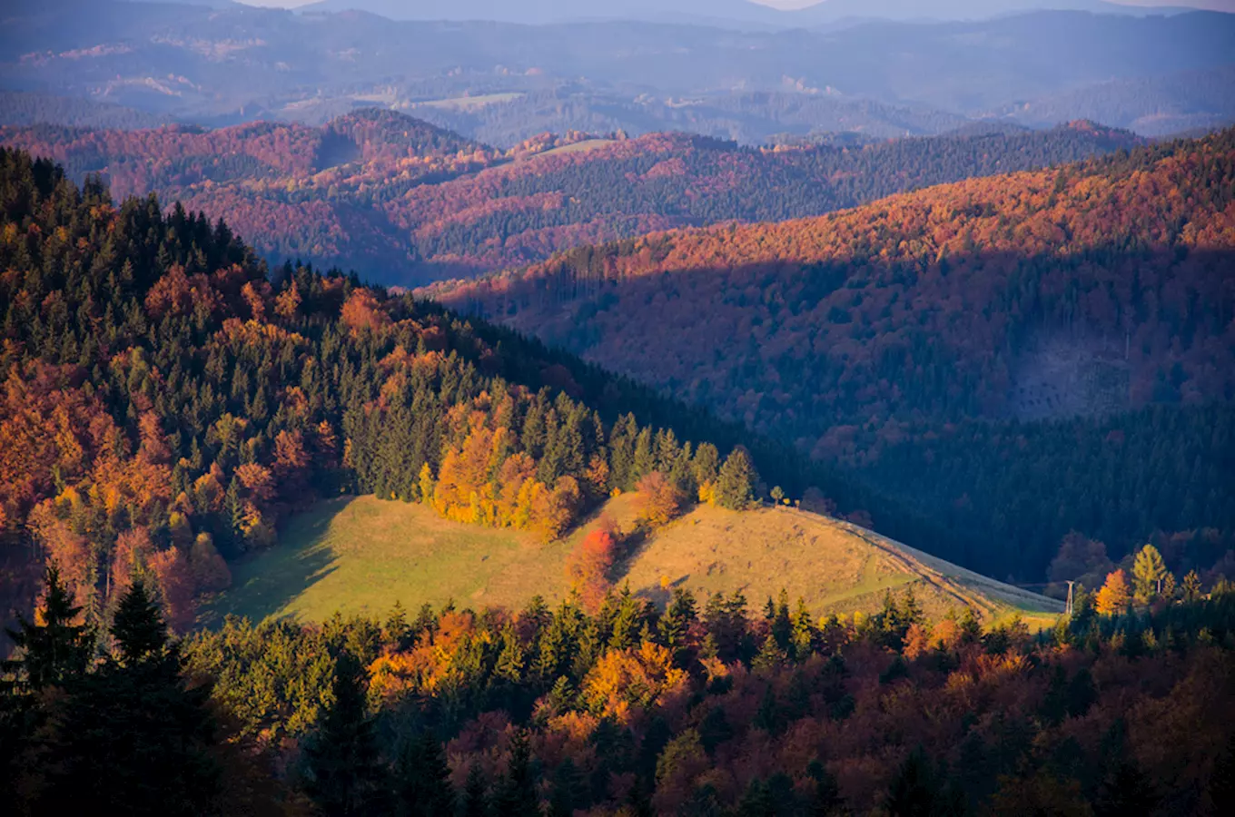 Příroda CHKO Bílé Karpaty