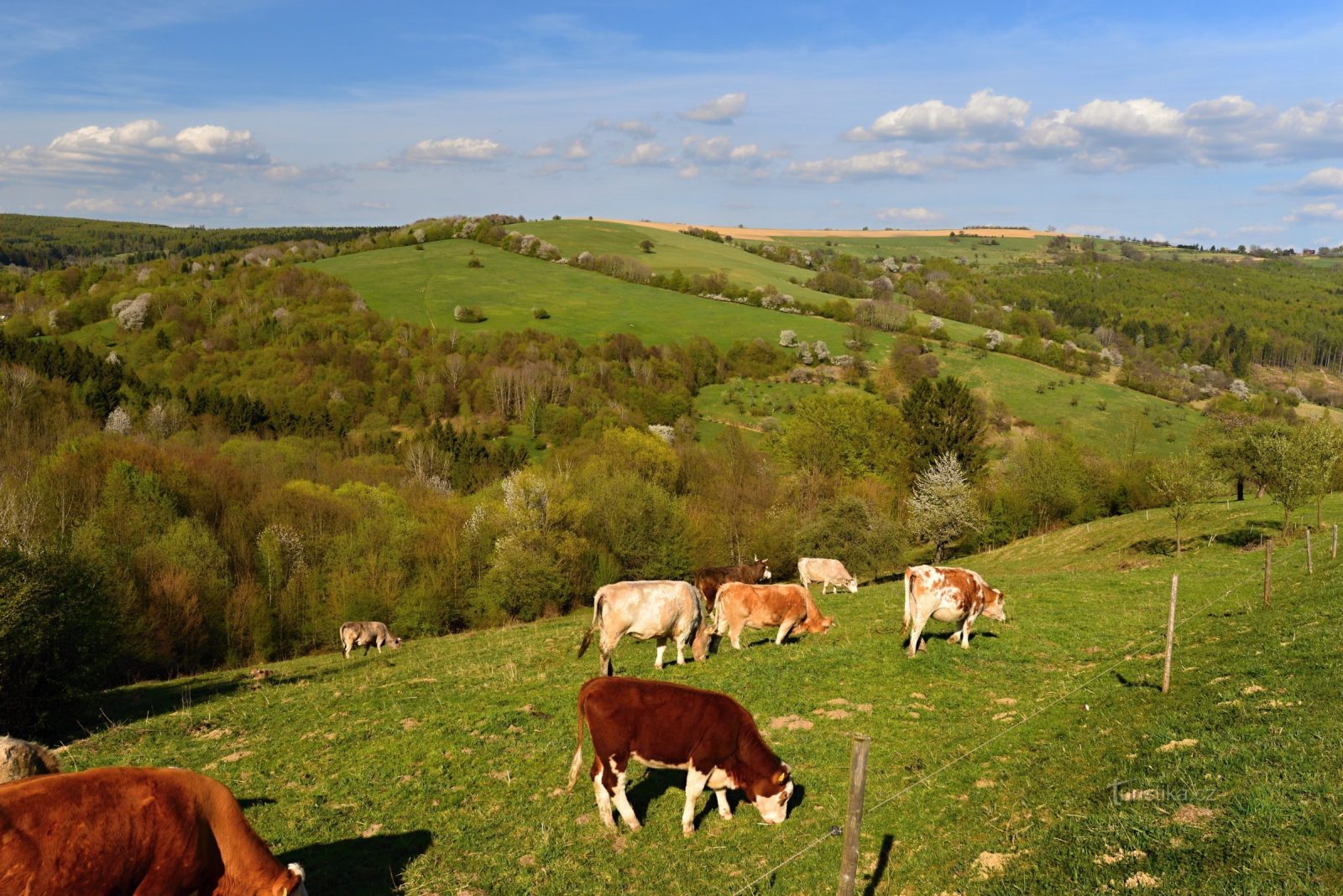 Vyškovec a Moravské Kopanice